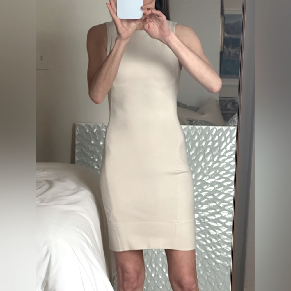 Aritzia Babaton stretch body con sheath dress. Size 0.